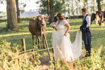 mariage-couple-vache-robe-bouquet-carre-saveurs_w